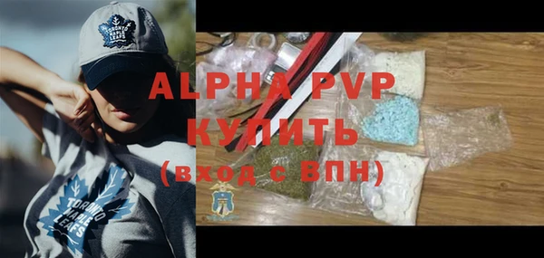 индика Богданович