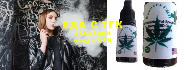 индика Богданович