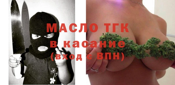 индика Богданович