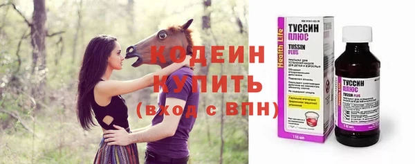 индика Богданович