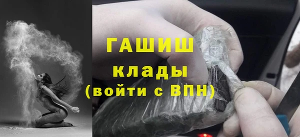индика Богданович
