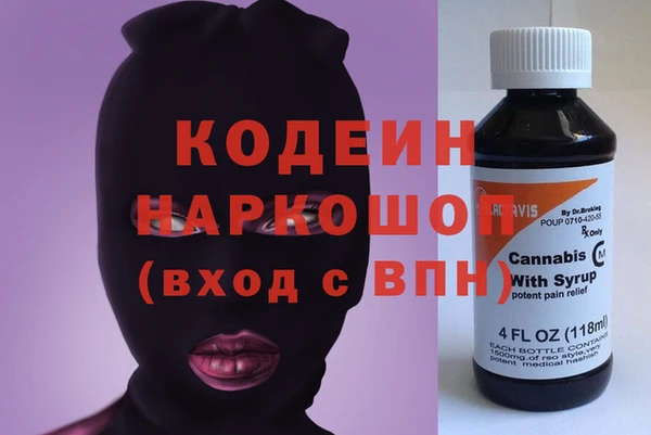 индика Богданович
