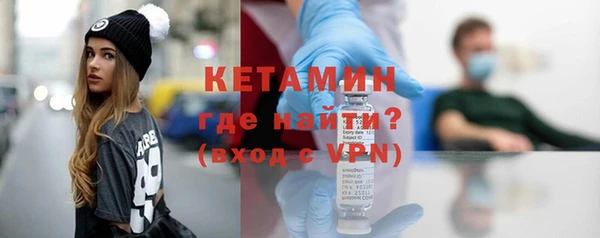индика Богданович