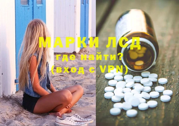 шишки Богородицк