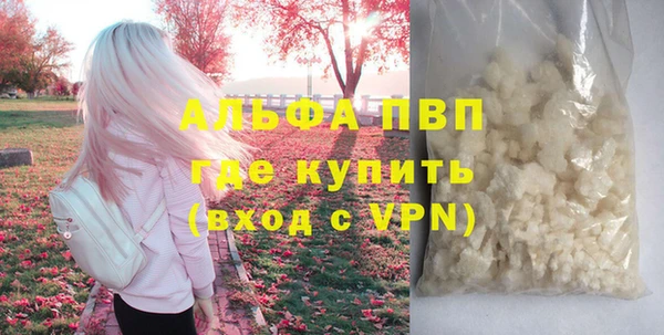 индика Богданович