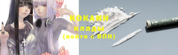 шишки Богородицк