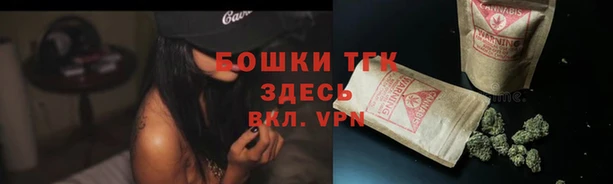 индика Богданович
