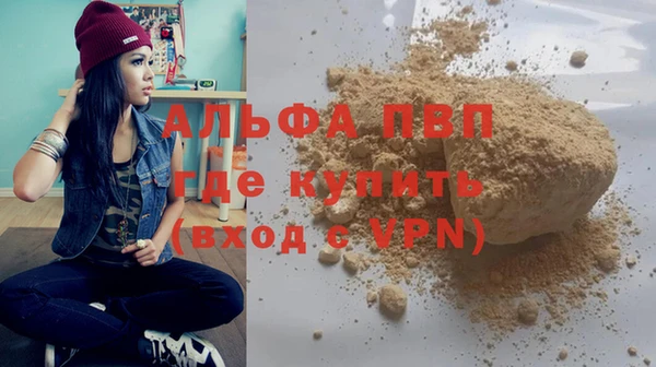 шишки Богородицк