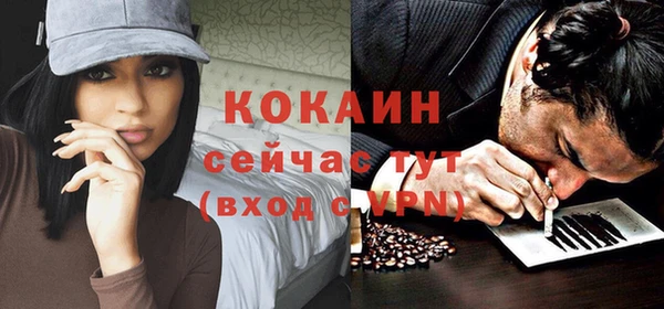 шишки Богородицк