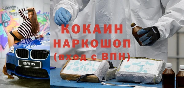 шишки Богородицк