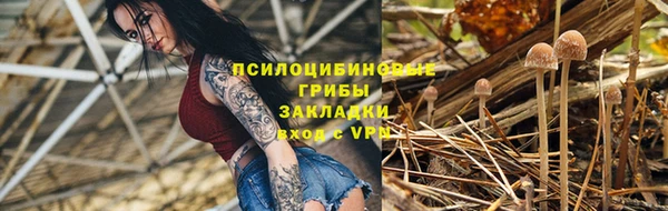 mix Богородск