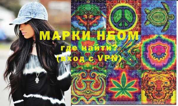 индика Богданович