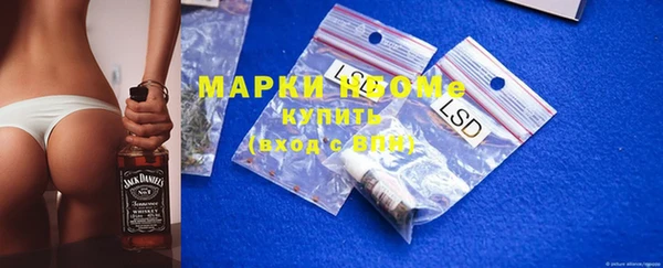 шишки Богородицк