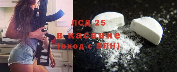 шишки Богородицк