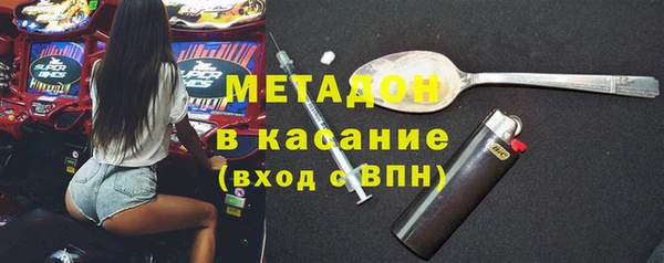 индика Богданович