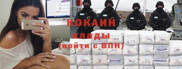 ПСИЛОЦИБИНОВЫЕ ГРИБЫ Заволжье