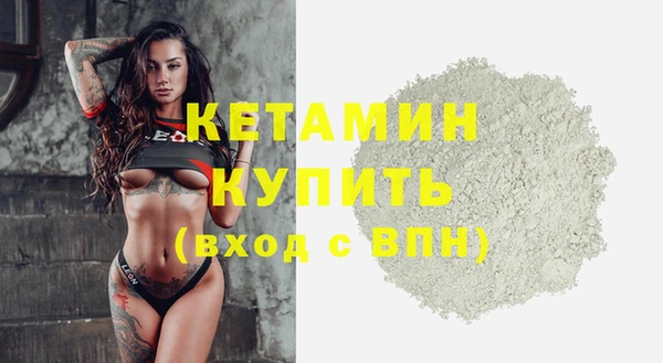шишки Богородицк