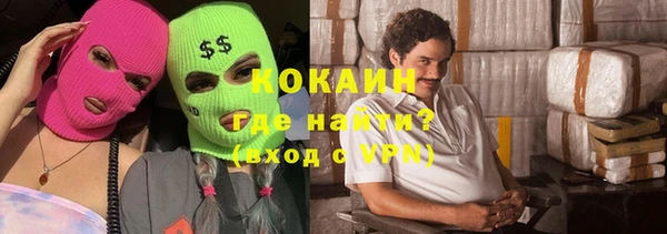индика Богданович