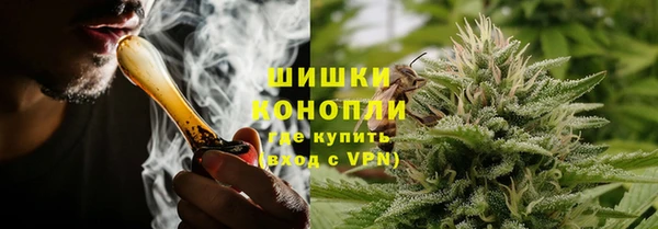 индика Богданович