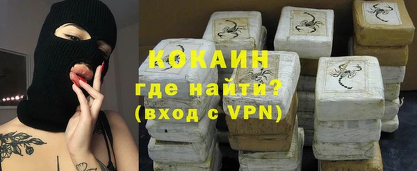 индика Богданович