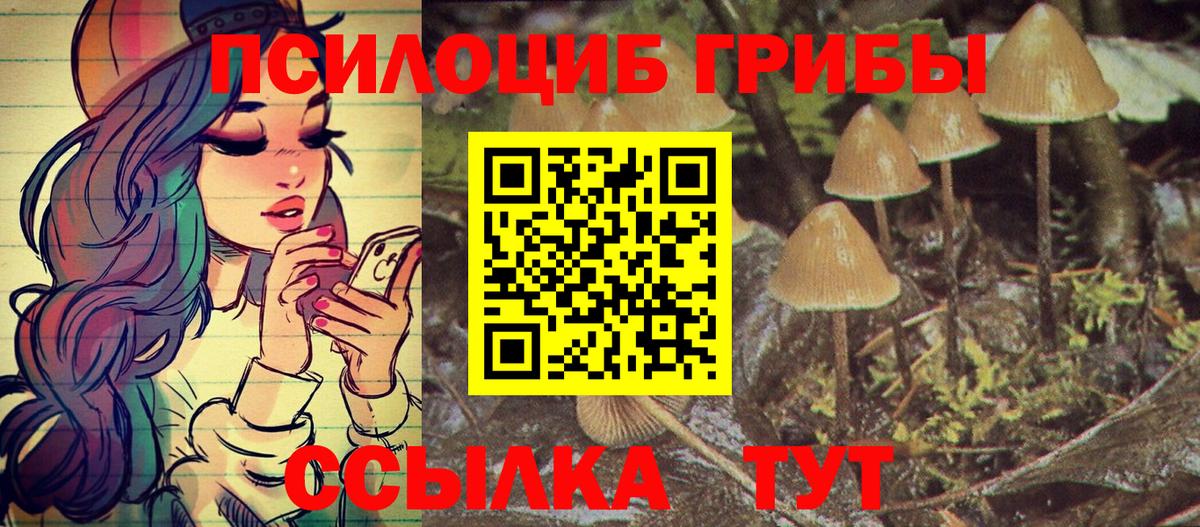 Галлюциногенные грибы Magic Shrooms Верхняя Пышма
