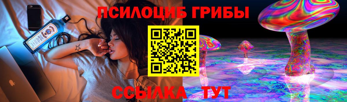 Верхняя Пышма  Псилоцибиновые грибы Magic Shrooms  Вход с VPN 